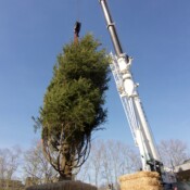 Thackray Crane - Barnes Foundation - Benjamin Franklin Parkway in Philadelphia