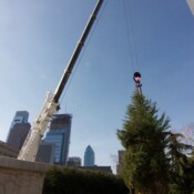 Thackray Crane - Barnes Foundation - Benjamin Franklin Parkway in Philadelphia