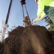 Thackray Crane - Barnes Foundation - Benjamin Franklin Parkway in Philadelphia