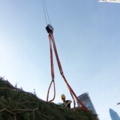 Thackray Crane - Barnes Foundation - Benjamin Franklin Parkway in Philadelphia