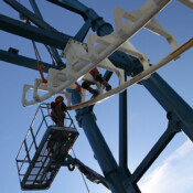 Thackray Crane Wildwood NJ Great NorEaster