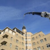 Thackray Crane Our Lady of Lourdes