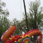 Thackray-Crane-Chinese-Lantern-Festival