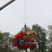 Thackray-Crane-Chinese-Lantern-Festival