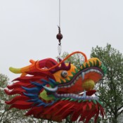 Thackray-Crane-Chinese-Lantern-Festival