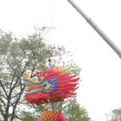 Thackray-Crane-Chinese-Lantern-Festival