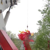 Thackray-Crane-Chinese-Lantern-Festival