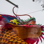 Thackray-Crane-Chinese-Lantern-Festival