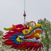 Thackray-Crane-Chinese-Lantern-Festival Dragon Head