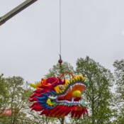 Thackray-Crane-Chinese-Lantern-Festival Dragon Head