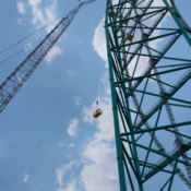Thackray Crane Zumanjaro
