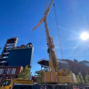 Thackray Crane Philadelphia Phillies