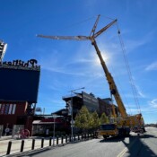 Thackray Crane Philadelphia Phillies