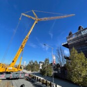 Thackray Crane Philadelphia Phillies